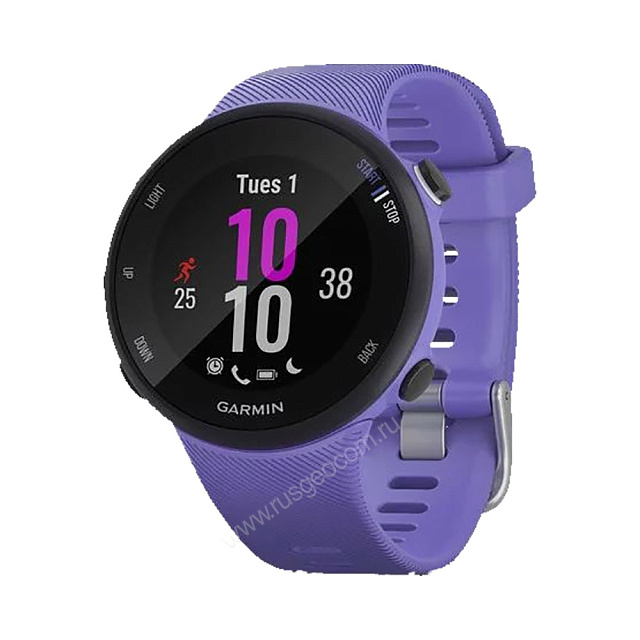 Часы Garmin Forerunner 45S ирис