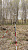 RGK SR1 с RGK SC100 и вехой RGK GLS 18 - комплект GNSS приемника
