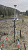 RGK SR1 с RGK SC100 и вехой RGK GLS 24 - комплект GNSS приемника