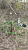RGK SR1 с RGK SC100 и вехой RGK GLS 24 - комплект GNSS приемника